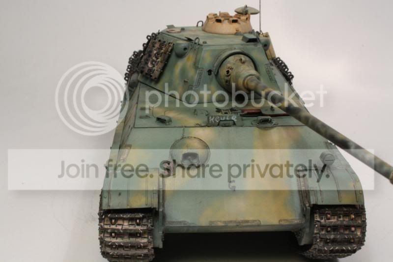 pantherf108.jpg