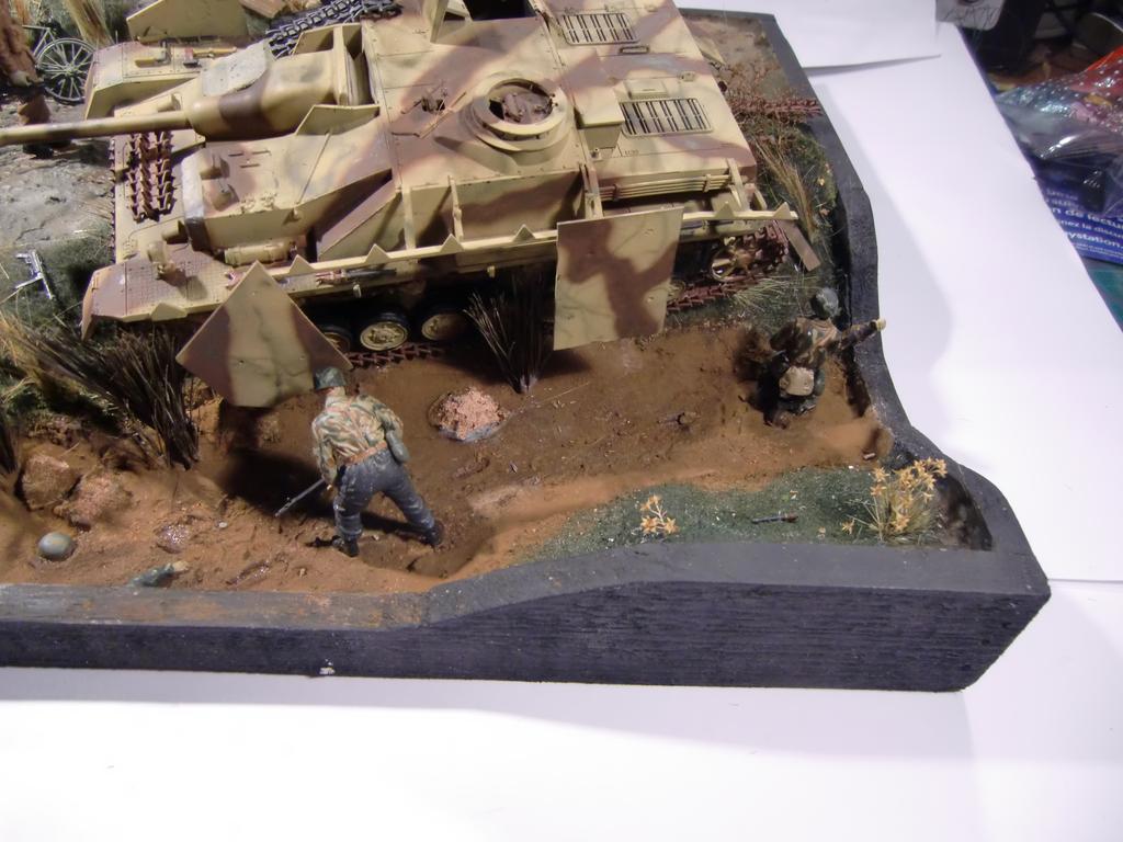 CIMG8459.jpg