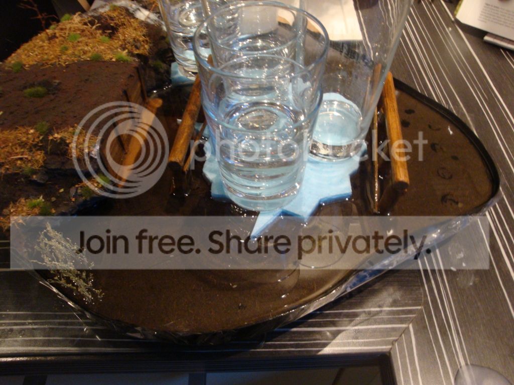 DSC08115.jpg
