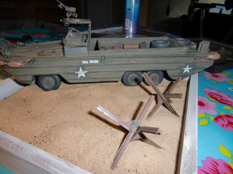 CIMG3809_800x600.JPG