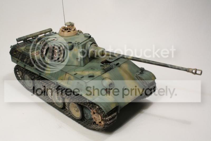 pantherf103.jpg