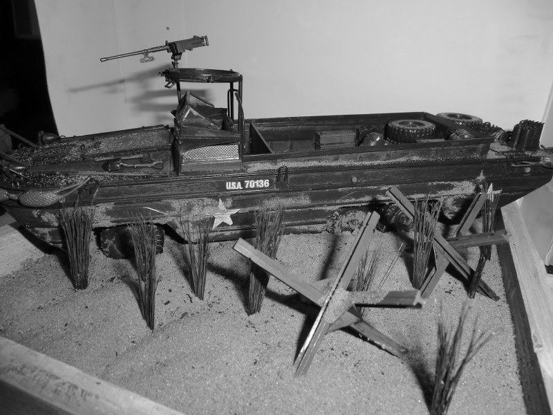 CIMG3833_800x600.JPG