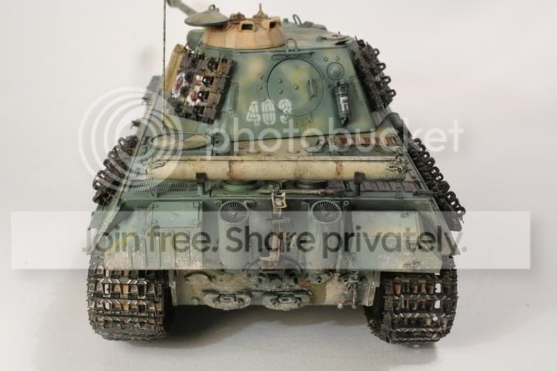 pantherf105.jpg