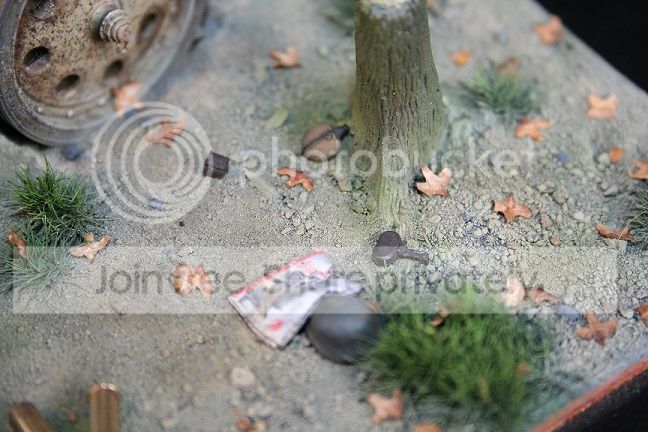 IMG_5181_zpsced0f010.jpg