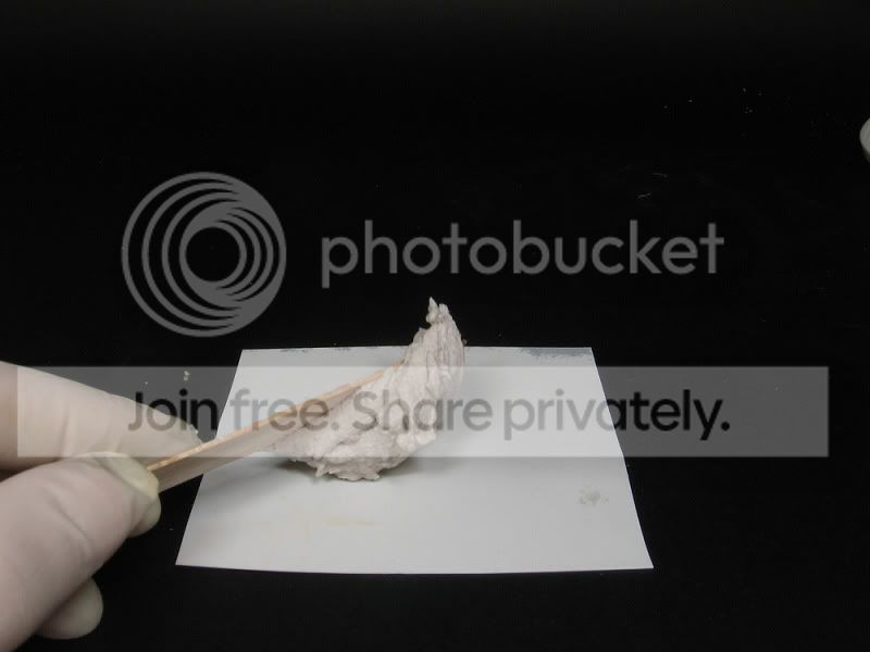 IMG_0175.jpg
