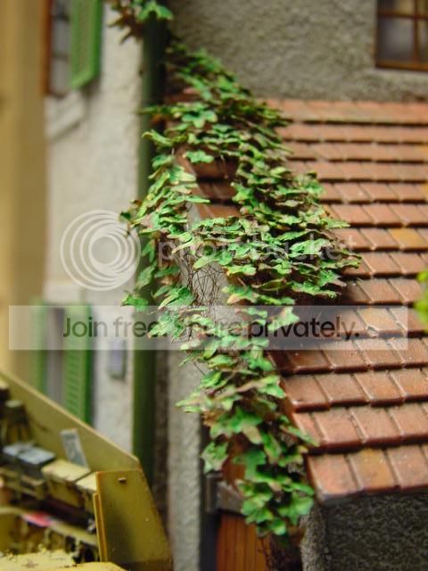 DSC00078.jpg