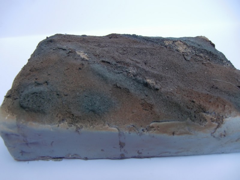 CIMG4586_800x600.JPG