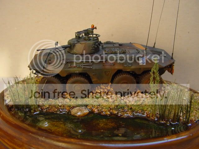 DSC00064.jpg