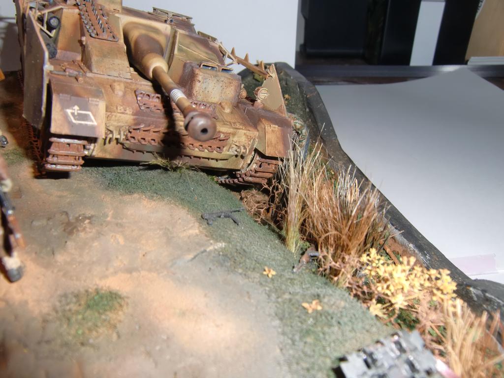 CIMG8945.jpg