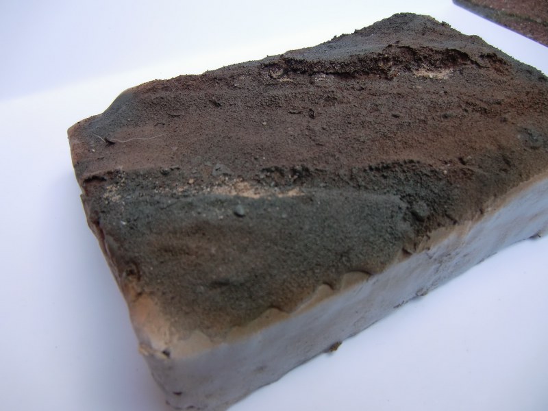 CIMG4584_800x600.JPG