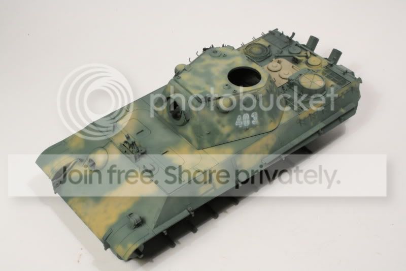 pantherf077.jpg