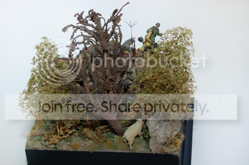 DSC_0367a.jpg