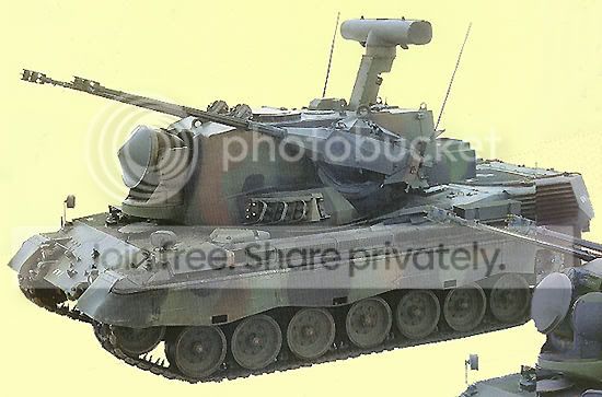 gepard3.jpg