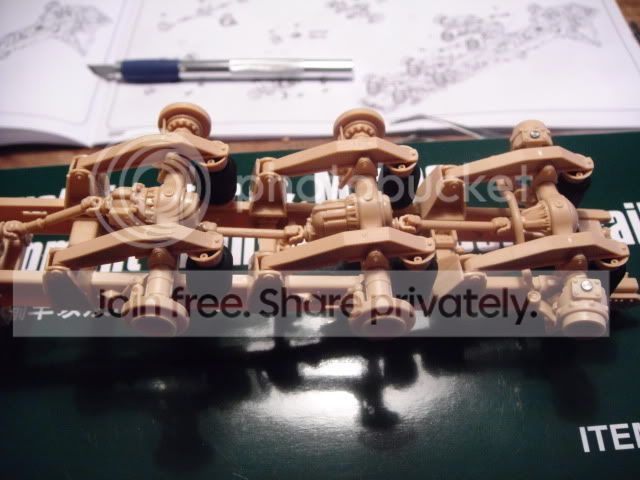 DSC01009.jpg