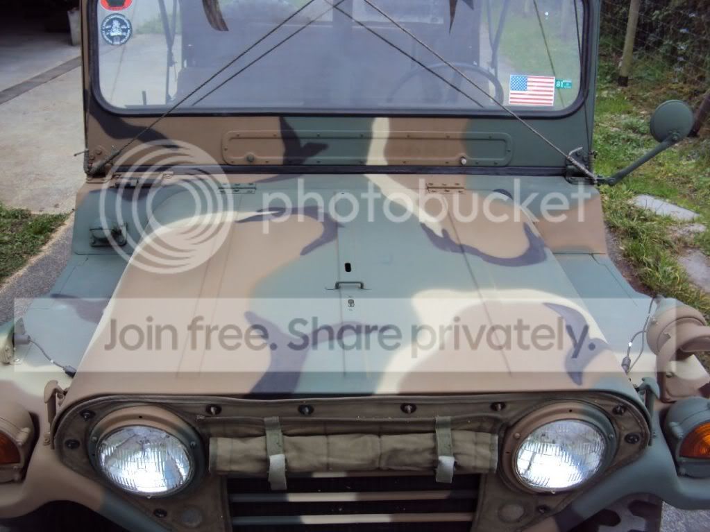 MERC4.jpg
