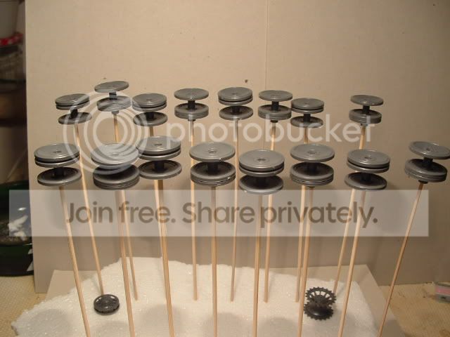 DSCF0230.jpg