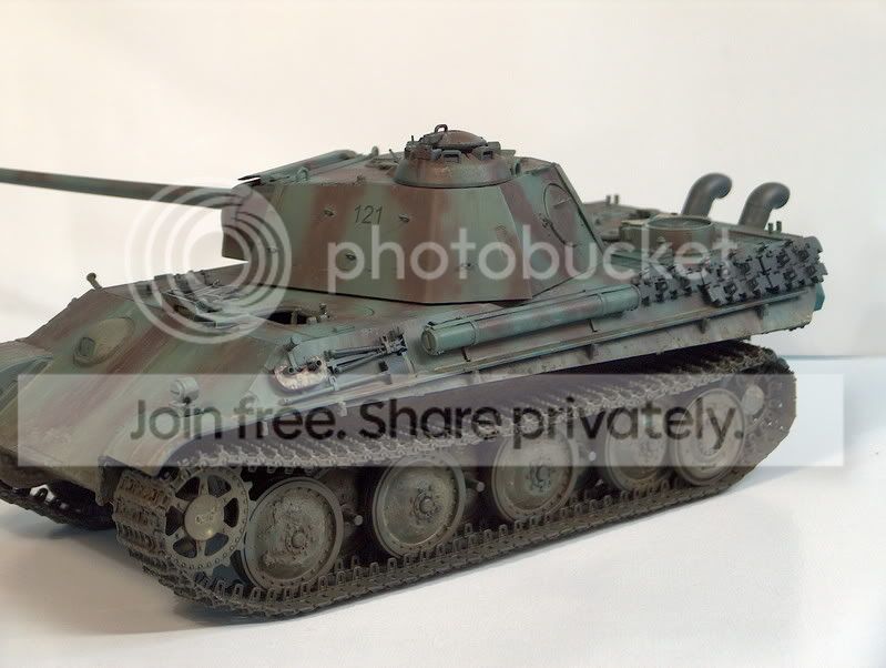 panther7037.jpg
