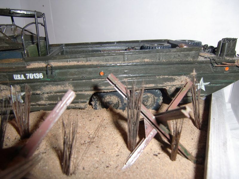 CIMG3837_800x600.JPG