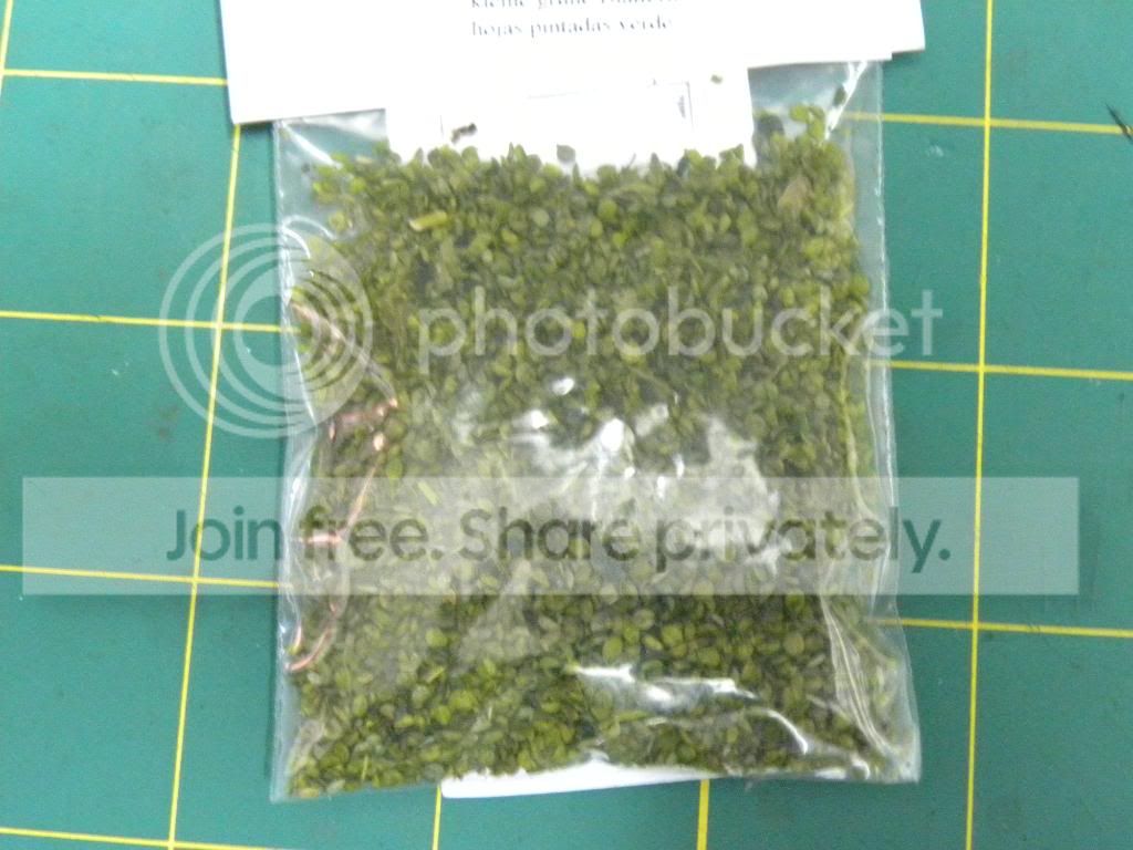 DSCN4863.jpg