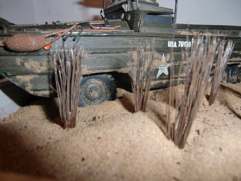 CIMG3836_800x600.JPG