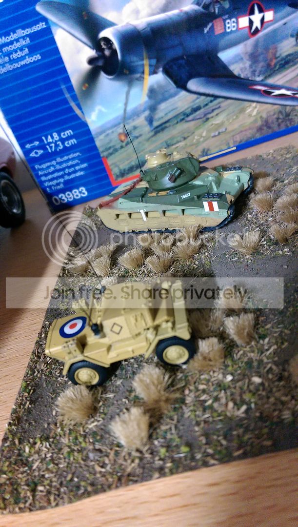 IMAG17031_zps6cac25cb.jpg