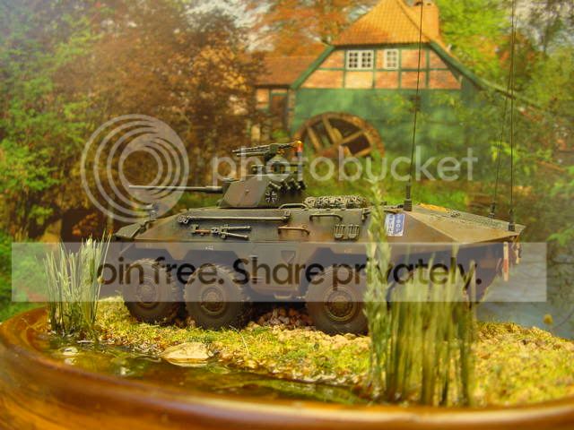 DSC00072.jpg