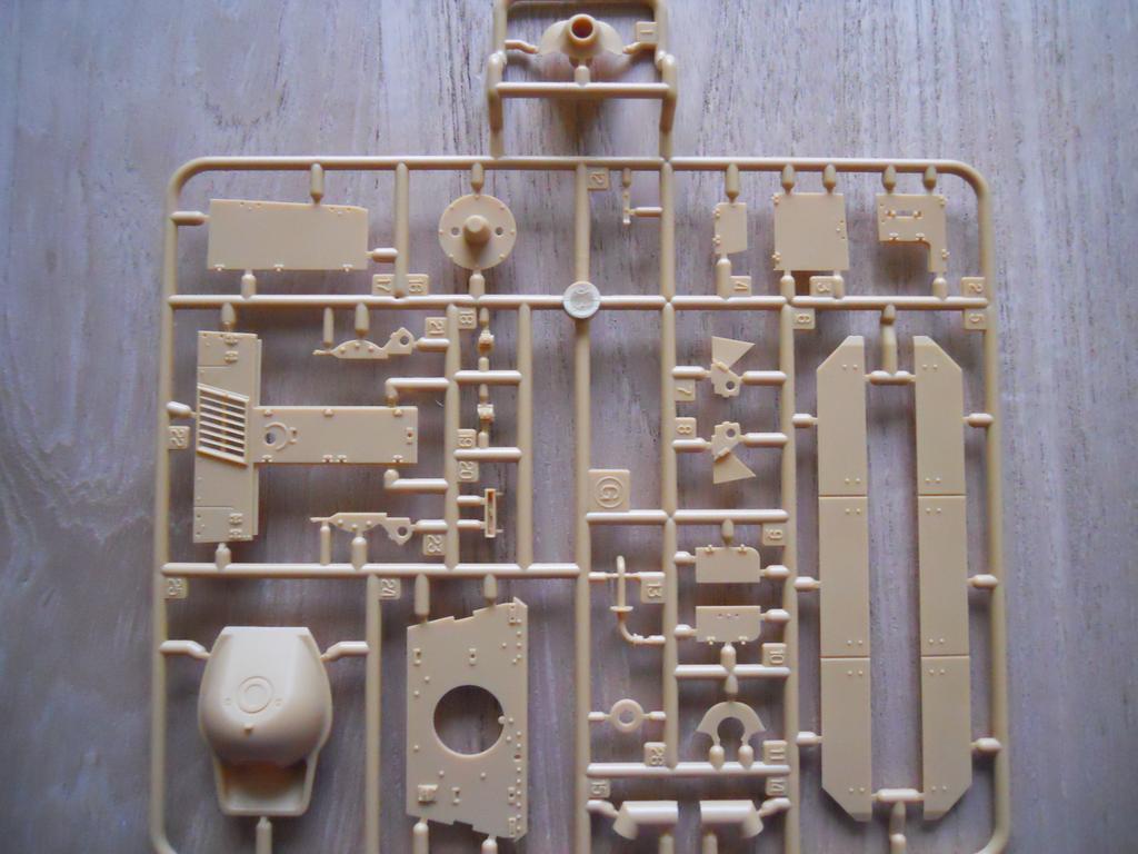 DSCN4557.jpg
