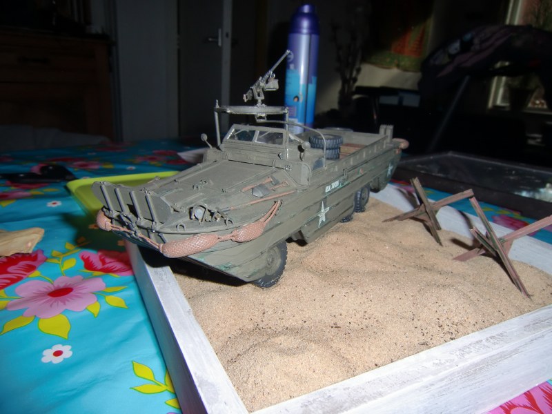 CIMG3811_800x600.JPG