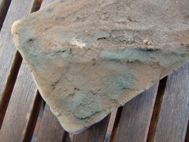 CIMG4469_800x600.JPG