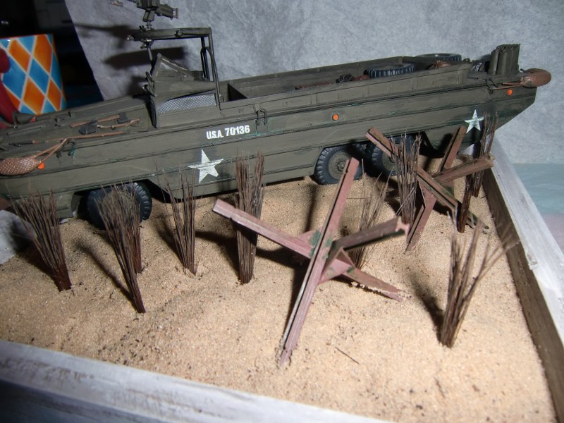 CIMG3817_800x600.JPG