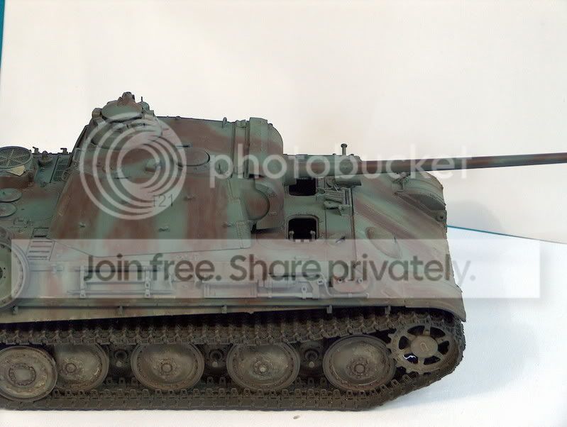 panther7034.jpg