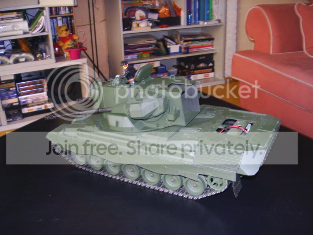 Cheetah2.jpg