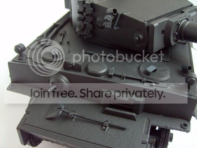 tiger5.jpg