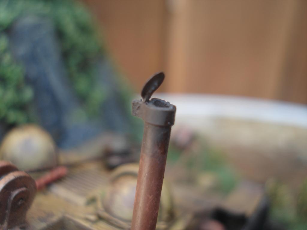 DSC00055.jpg