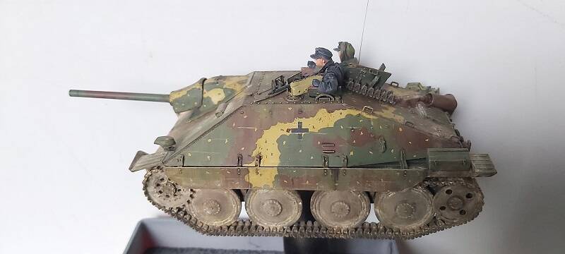31-standard.jpg