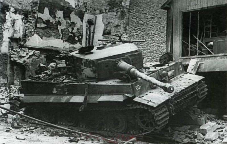 tigerinr1119frankreichv.jpg