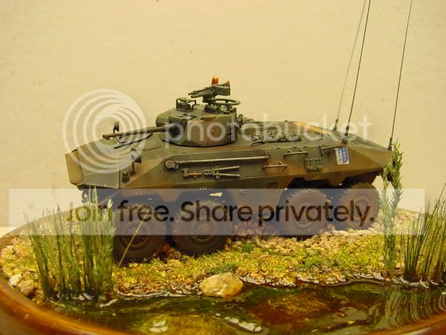 DSC00065-1.jpg