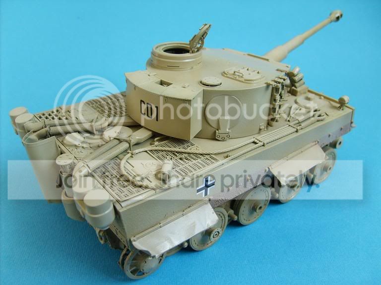 tiger7.jpg