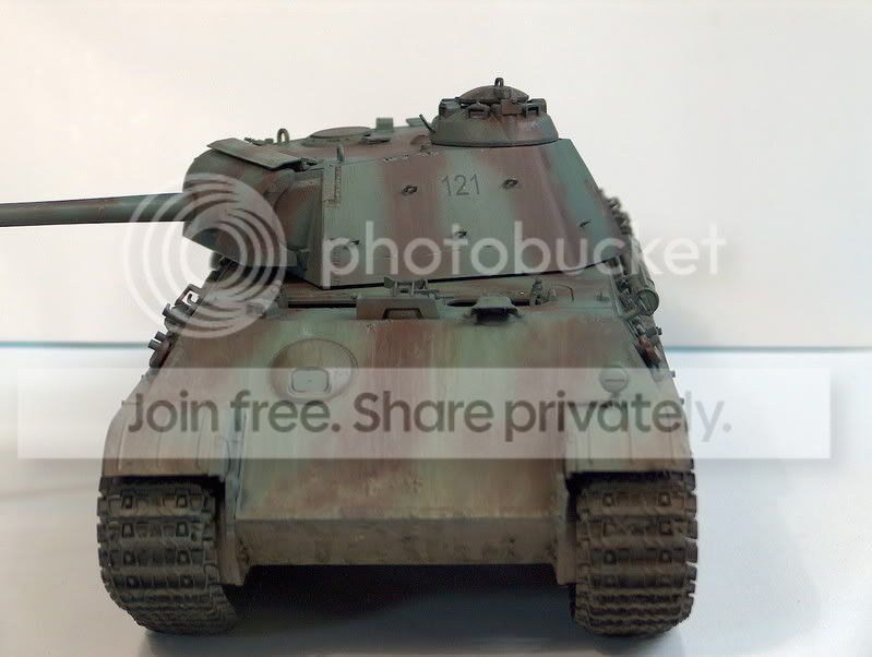panther7036.jpg