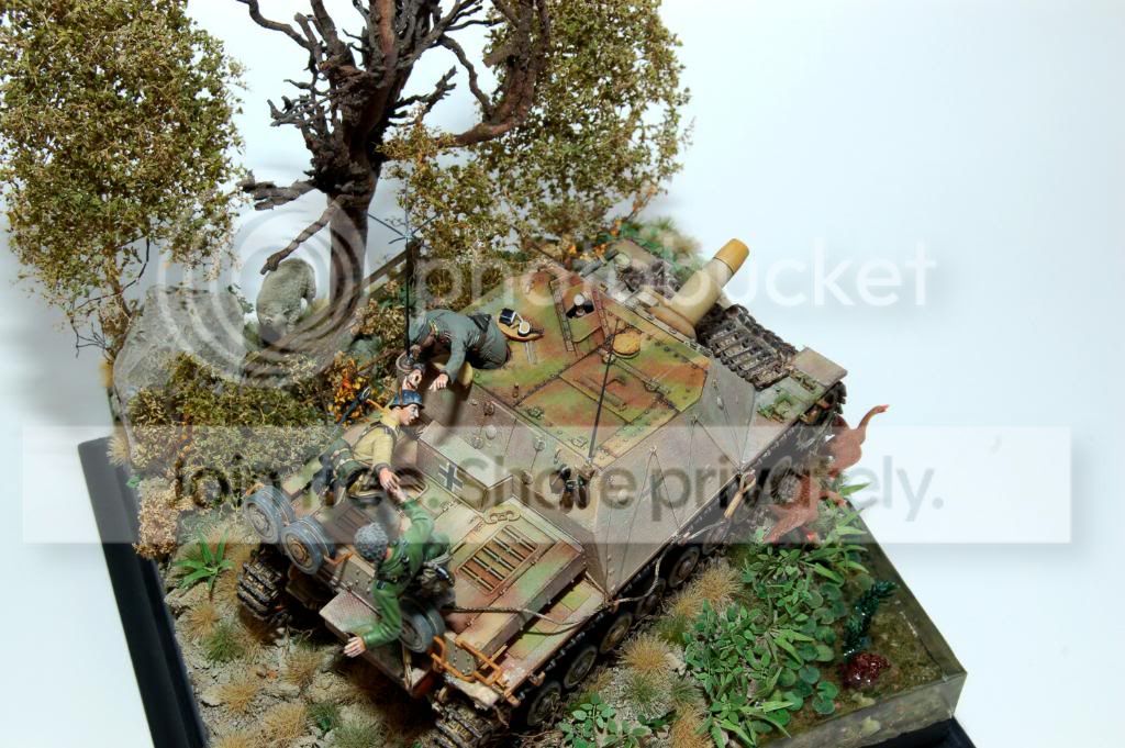 DSC_0337a.jpg