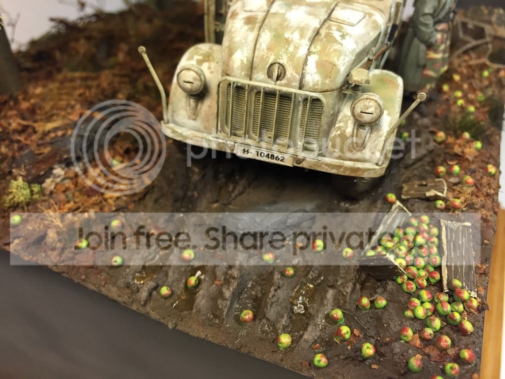 IMG_7429_zpsaj4cytu2.jpg