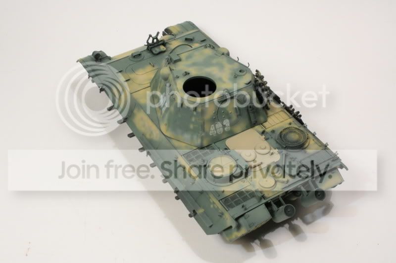 pantherf078.jpg