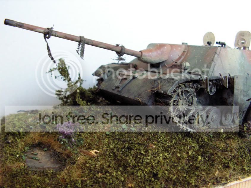 jgdpzIV_update1.jpg