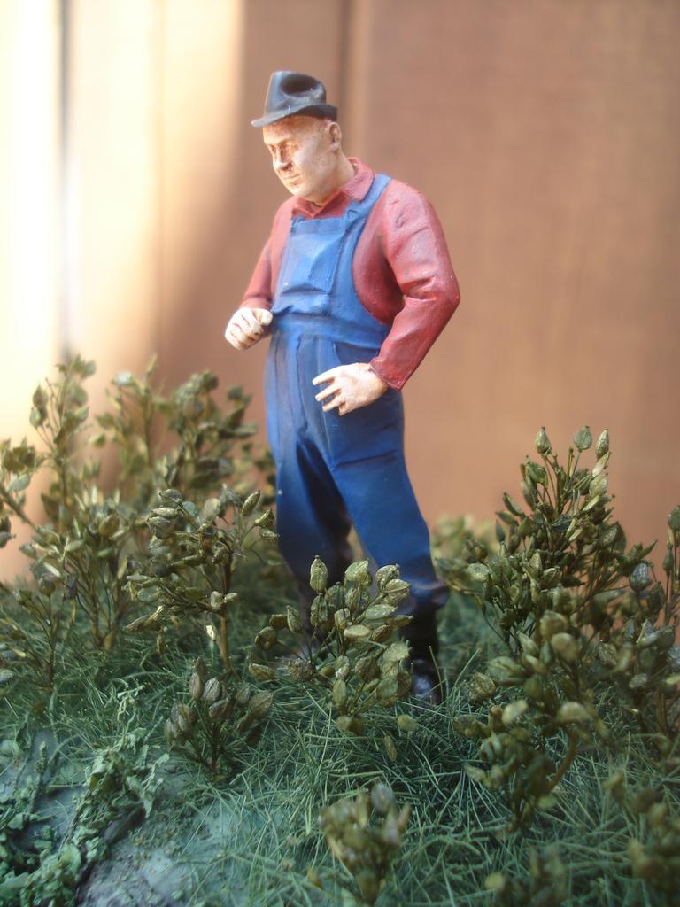 DSC00058.jpg