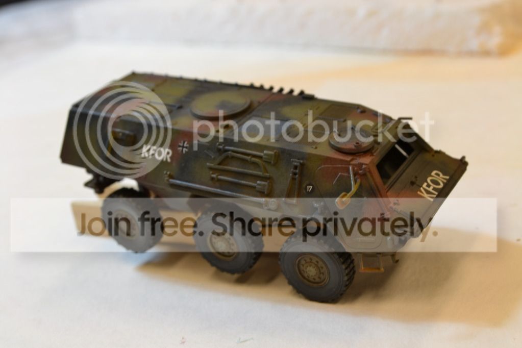 fuchs2.jpg