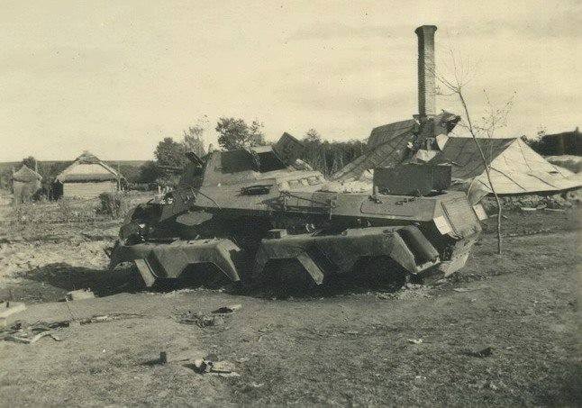 NzsLis3.jpg
