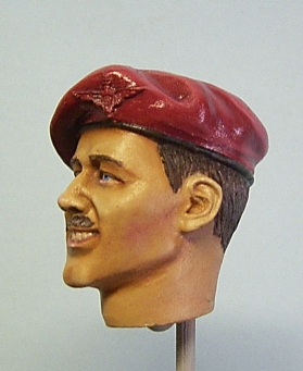 parakop16.jpg