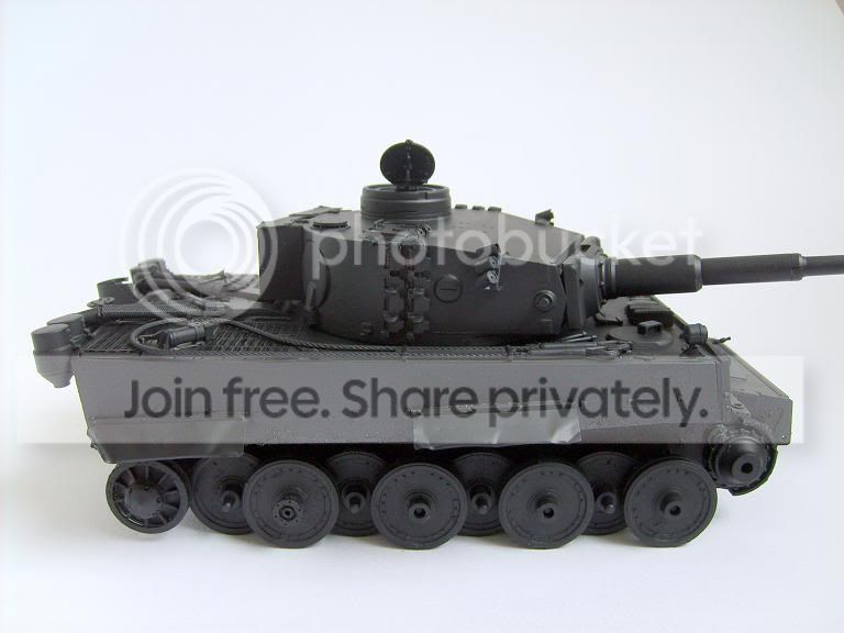tiger3.jpg