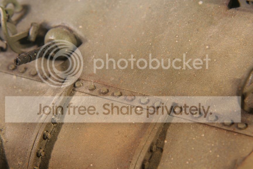 IMG_5551_zps5c189cce.jpg