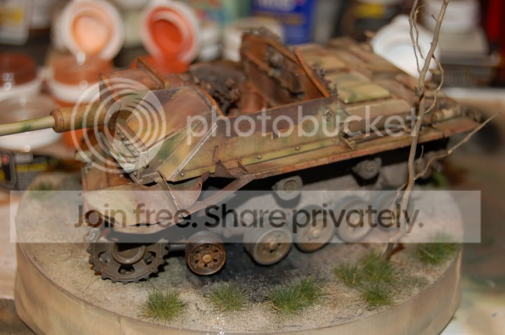DSC_0184.jpg